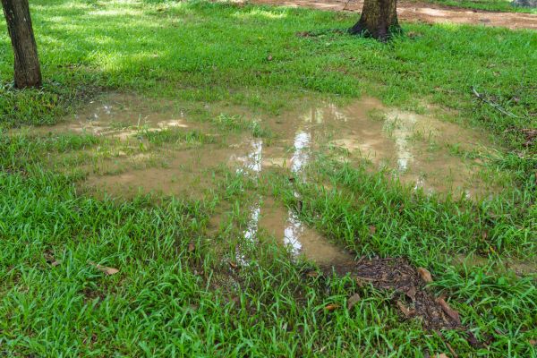 Cost of Storm Water Drainage Service in Baltimore