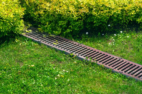 Cost of Lawn Drainage in Baltimore