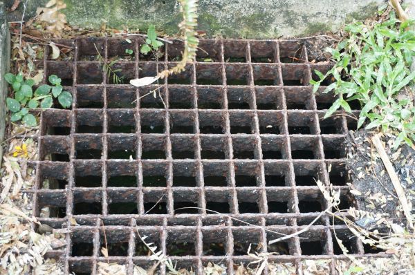 Cost of Yard Drain Cleaning in Baltimore