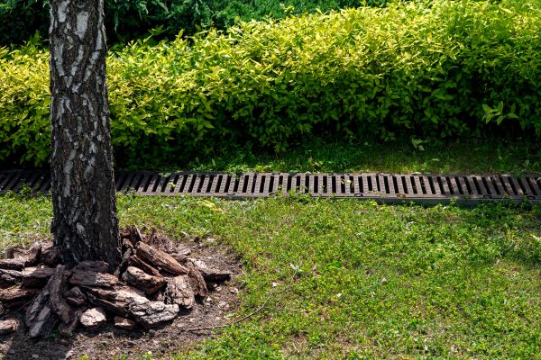 Cost of Wet Yard Drainage in Baltimore