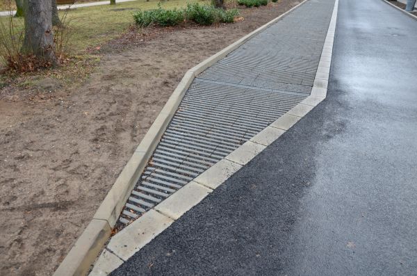 Cost of Muddy Yard Drainage in Baltimore