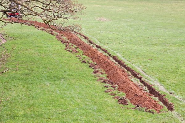 Cost of Swale Installation in Baltimore