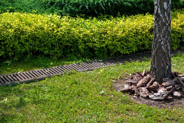 Cost of Residential Landscape Drainage in Baltimore